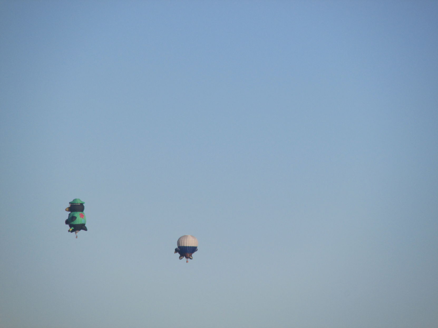 Carolina BalloonFest